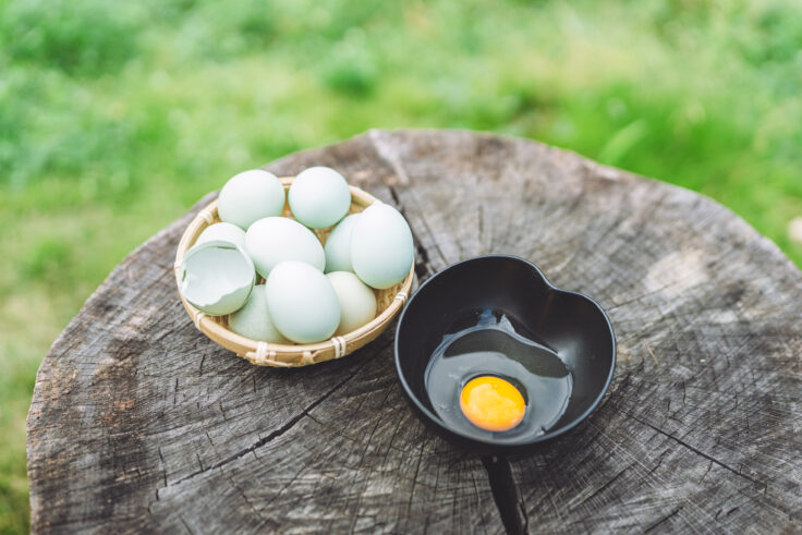 【いとぐる】産地直送グルメ 新商品発売のお知らせ